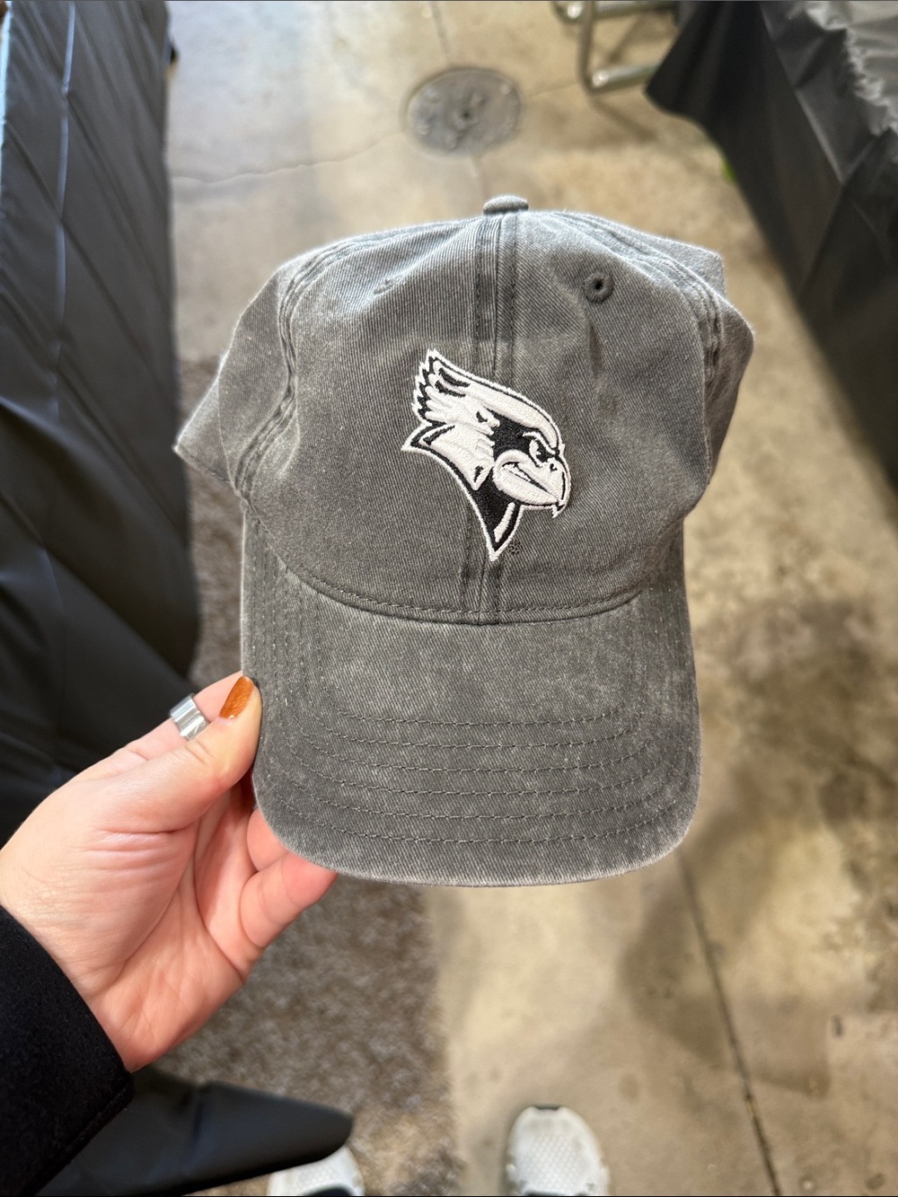 Embroidered Gray Baseball Cap with Bird Logo